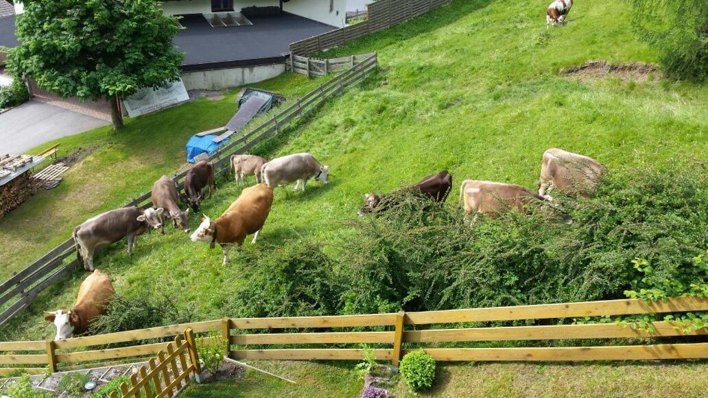 フルプメスHaus Wohlebアパートメント エクステリア 写真